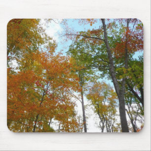 Looking Up to Fall Leaves I Colourful Fall Foliage Mouse Pad