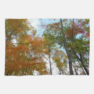 Looking Up to Fall Leaves I Colourful Fall Foliage Tea Towel