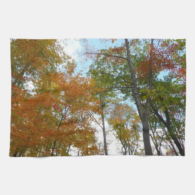 Looking Up to Fall Leaves I Colourful Fall Foliage Tea Towel (Horizontal)