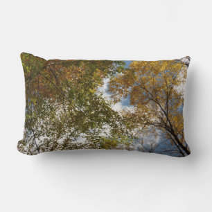 Looking Up to Fall Leaves II Autumn Nature Lumbar Cushion