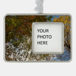 Looking Up to Fall Leaves II Autumn Nature Silver Plated Framed Ornament