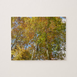 Looking Up to Fall Leaves III Colourful Foliage Jigsaw Puzzle