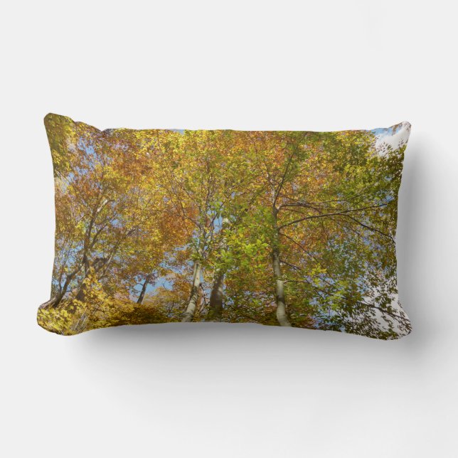 Looking Up to Fall Leaves III Colourful Foliage Lumbar Cushion (Front)