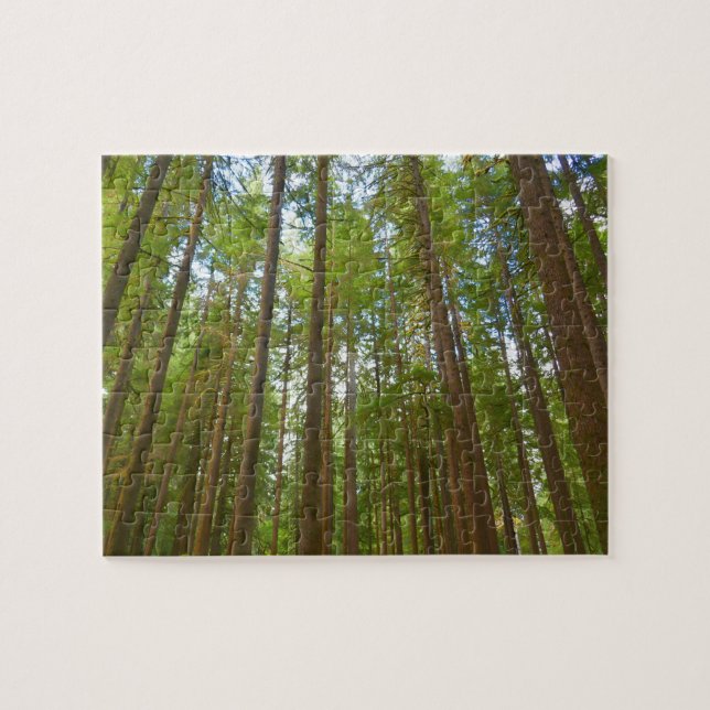 Looking Up to Old Growth Forest Jigsaw Puzzle (Horizontal)