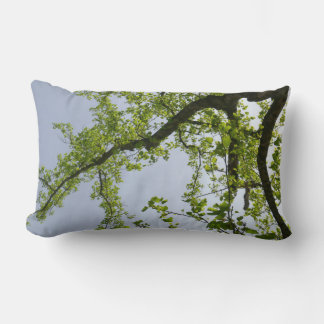 Looking Up to Spring Poplar Tree Lumbar Cushion