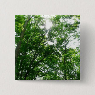 Looking Up to Summer Trees 15 Cm Square Badge
