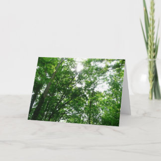 Looking Up to Summer Trees Card