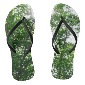 Looking Up to Summer Trees Jandals