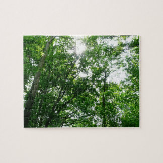 Looking Up to Summer Trees Jigsaw Puzzle