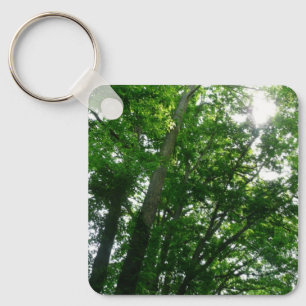 Looking Up to Summer Trees Key Ring