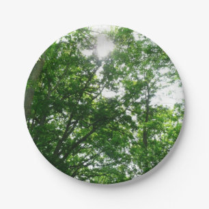 Looking Up to Summer Trees Paper Plate