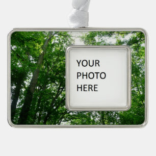 Looking Up to Summer Trees Silver Plated Framed Ornament