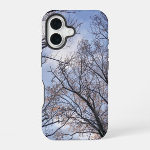 Looking Up to Winter Morning Trees iPhone 16 Case