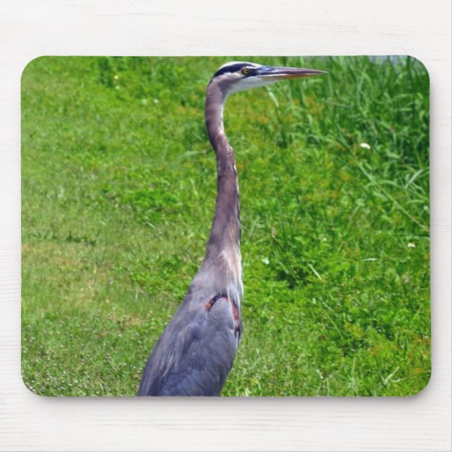 Lookout Bird Mouse Pad (Front)