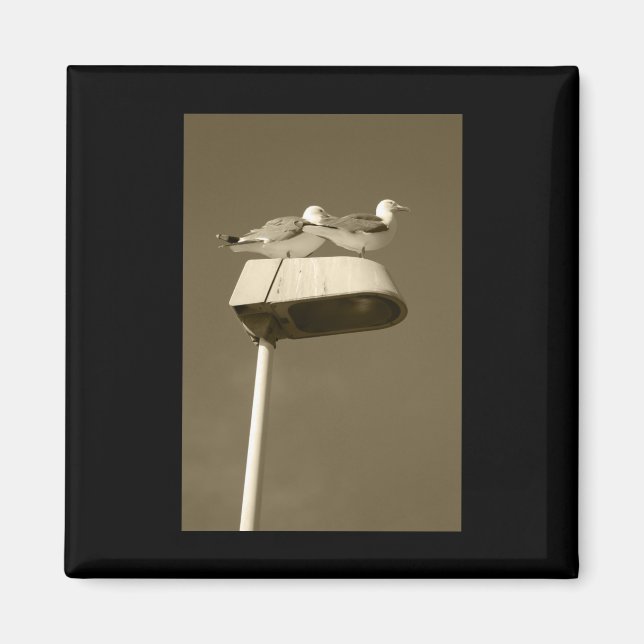 Lookout Post Lanzarote Tint Vertical Sticker  Magnet (Front)