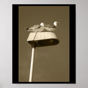 Lookout Post Lanzarote Tint Vertical Sticker  Poster