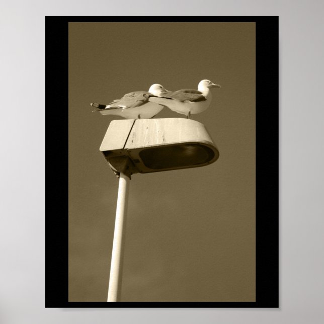 Lookout Post Lanzarote Tint Vertical Sticker  Poster (Front)