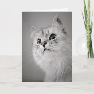 Looks Like It's Your Birthday! (Card) Card