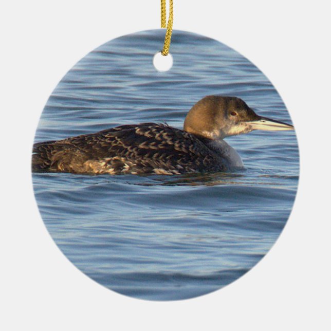 Loon Bird Ornament (Front)