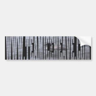 Loon Bumper Sticker