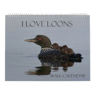 Loon Calendar - 14.25 x 11 (large wall calendar)