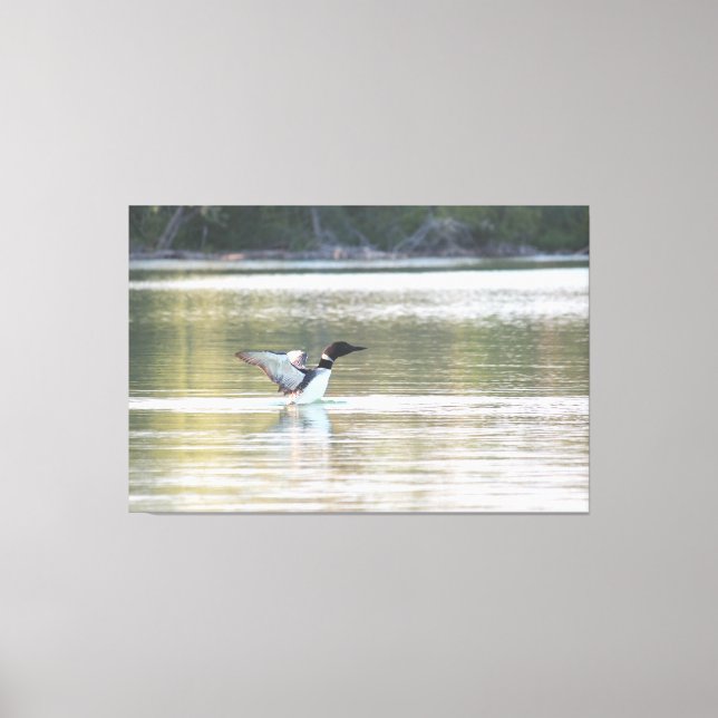Loon Canvas Print (Front)