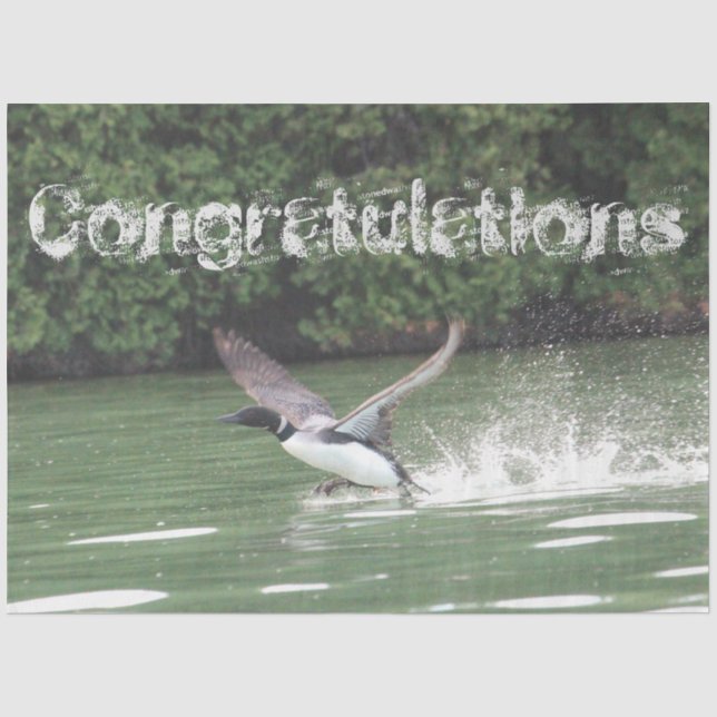 Loon Congratulations Tissue Paper (Front)