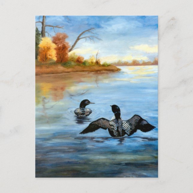 Loon Dance II Postcard (Front)