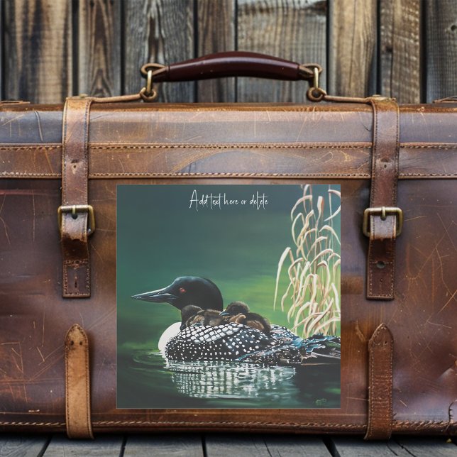 Loon Family Outing (Creator Uploaded)