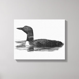 Loon on Lake Canvas Print