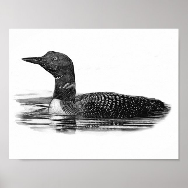 Loon on Lake Poster (Front)