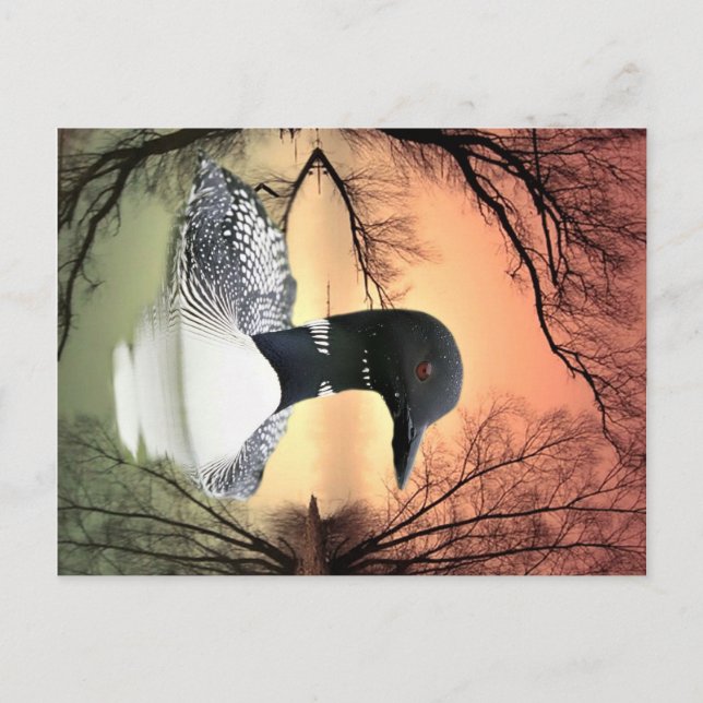 Loon Reflections Postcard (Front)