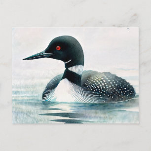Loon Swimming Watercolor Art Postcard