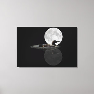 Loon Swims In The Moonlight Canvas Print