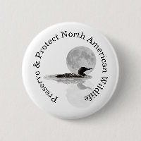 Loon Swims In The Moonlight Pin Button