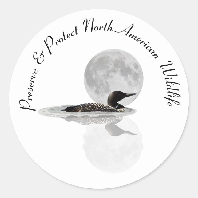 Loon Swims In The Moonlight Stickers (Front)