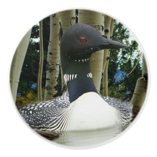 Loon Wilderness Ceramic Knob (Front)