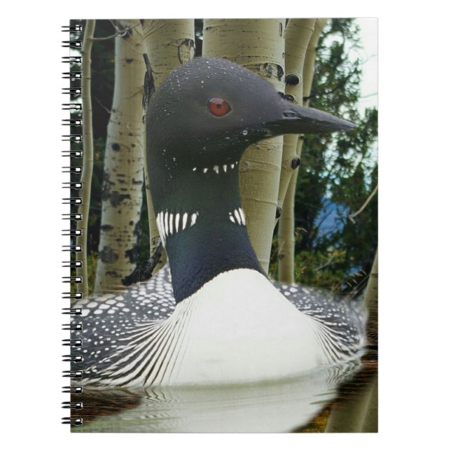Loon Wilderness Notebook (Front)