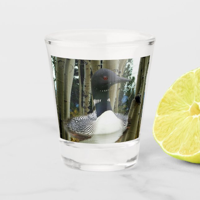 Loon Wilderness Shot Glass (Front)