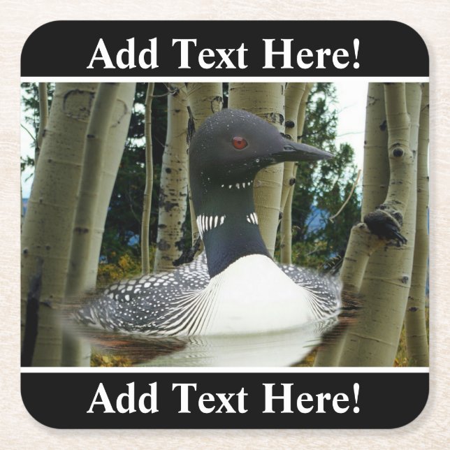 Loon Wilderness Square Paper Coaster (Front)