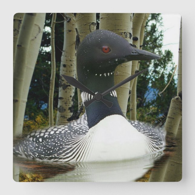 Loon Wilderness Square Wall Clock (Front)