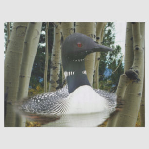 Loon Wilderness Tissue Paper