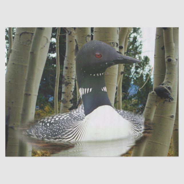 Loon Wilderness Tissue Paper (Front)