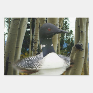 Loon Wilderness Wrapping Paper Sheet