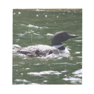 Loon With Babies 2 Notepad