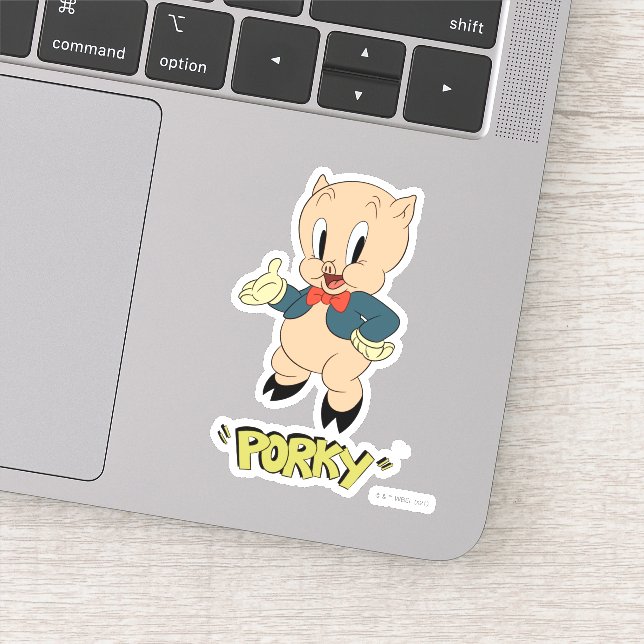 LOONEY TUNES™ Retro Laughs | Porky Pig (Detail)