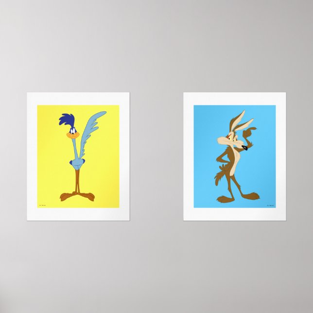 LOONEY TUNES™ ROAD RUNNER™ & WILE E. COYOTE™ (Front)