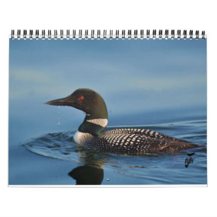 Loons on the Rideau Calendar