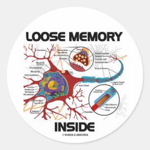 Loose Memory Inside (Neuron / Synapse) Classic Round Sticker