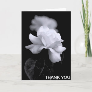 Loose White Leaf Rose On Black Background Thank You Card